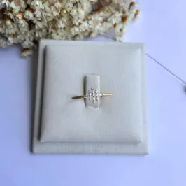 Anel 13 Zirconias