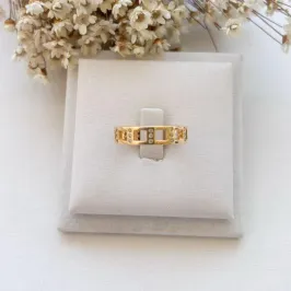 Anel Cruz e Microzirconias