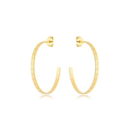 Brinco Argola Chapas Lisas e Foscas 3,5cm