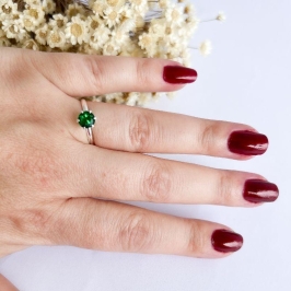 Anel Ponto de Luz 4mm 6 Garras Alto