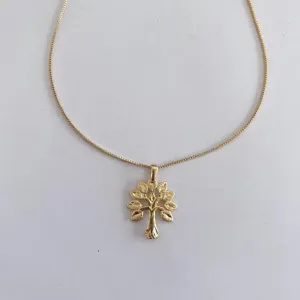 Conjunto Arvore da Vida