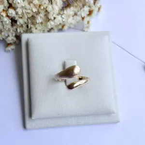 Anel Gota Fosca e Lisa