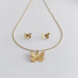 Conjunto Borboletas c/ Riscos