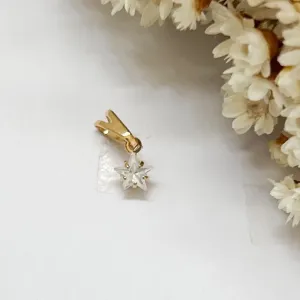 Pingente Estrela de Luz