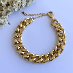 Pulseira Elos Grandes Quint