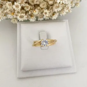 Anel Circulos e Ponto de Luz