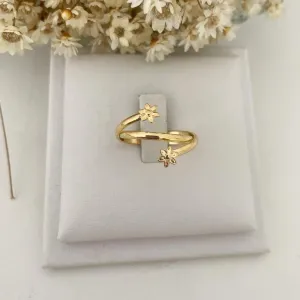 Anel Encontro de Flores