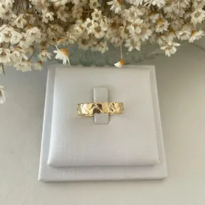 Anel Fileira Dupla Corações