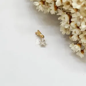 Pingente Estrela de Luz