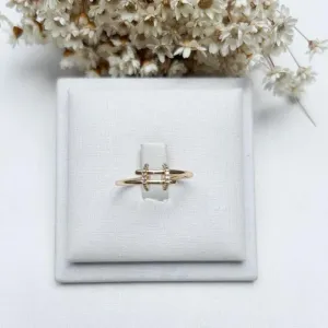 Anel Cerca Dois Circulos