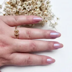 Anel Cerca Dois Circulos