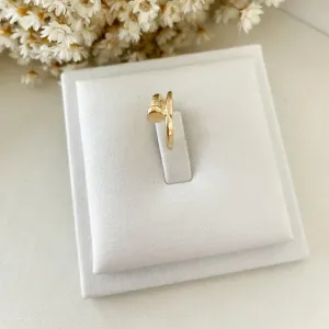 Brinco Piercing Prego