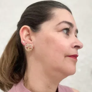 Brinco Arvore da Vida Cravejado Grande