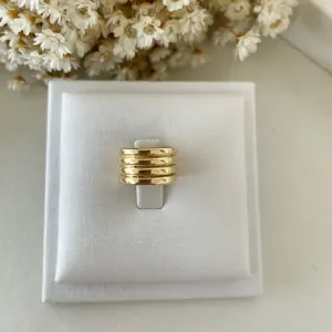 Brinco Piercing Fios Lisos e Fosco