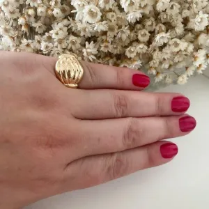 Anel Dedinho Camadas