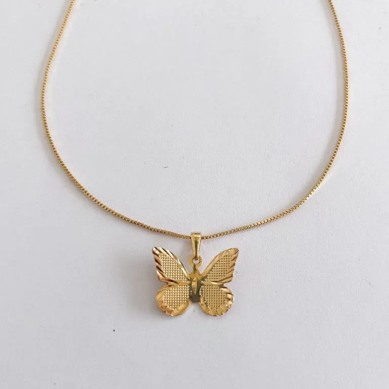 Conjunto Borboletas c/ Riscos